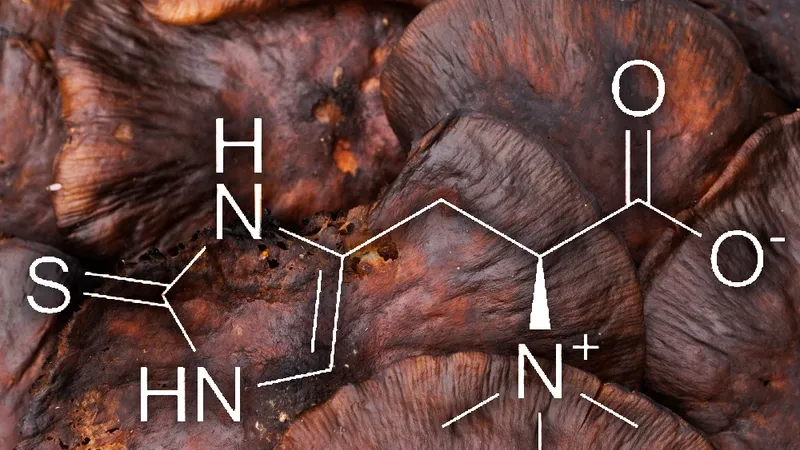 L-Ergothioneine, the longevity vitamin