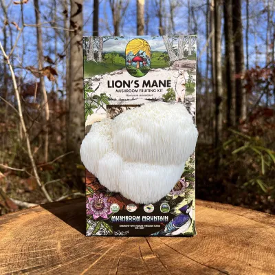 Lion's Mane Mushroom Fruiting Kit - Product Image