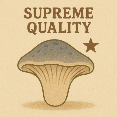 Mulberry Oyster MycoGarden Fruiting Kit - (Pleurotus ostreatus) - Image 4