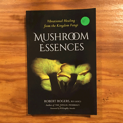Mushroom Essences - Image 2