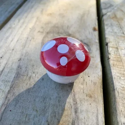Mushroom Lip Balm - Product Image