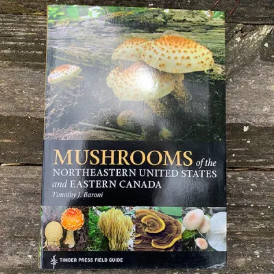 Mushrooms of the Northeastern United States and Eastern Canada - Product Image