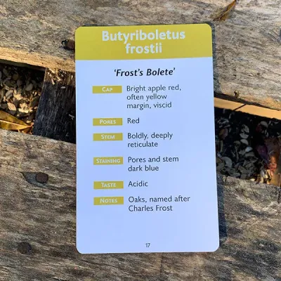 MycoCards - Image 2