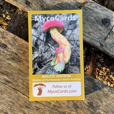 MycoCards - Image 3