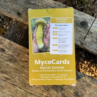MycoCards - Image 4