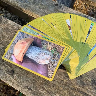 MycoCards - Image 5