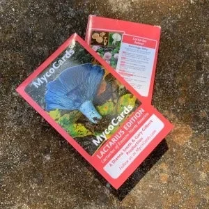 MycoCards - Image 6