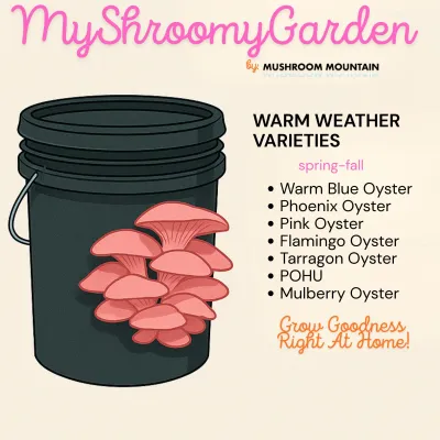 MyShroomyGarden - Image 3