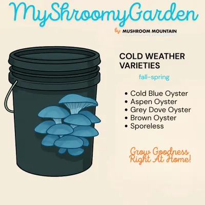 MyShroomyGarden - Image 5