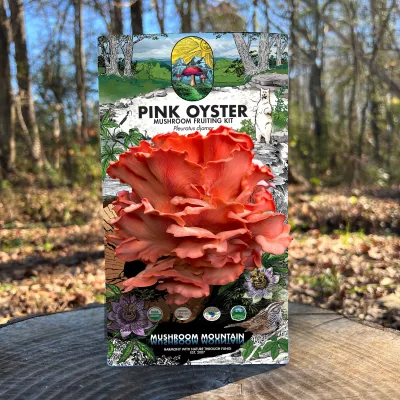 Oyster Mushroom Fruiting Kit - (Pleurotus spp.) - Product Image