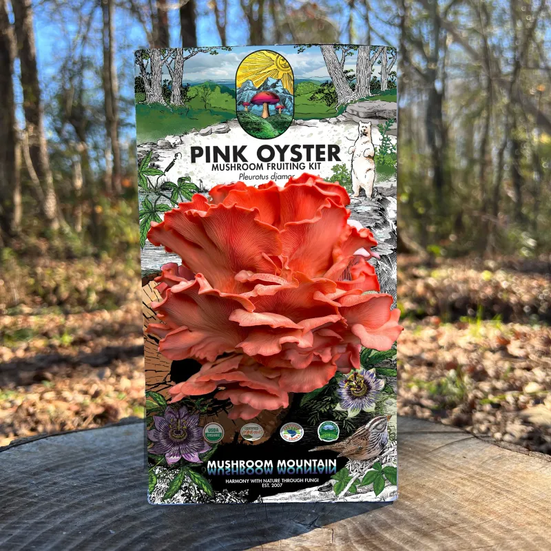 Oyster Mushroom Fruiting Kit - (Pleurotus spp.) - Product Image