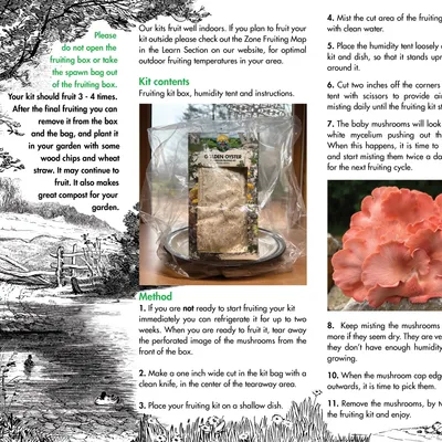 Oyster Mushroom Fruiting Kit - (Pleurotus spp.) - Image 4