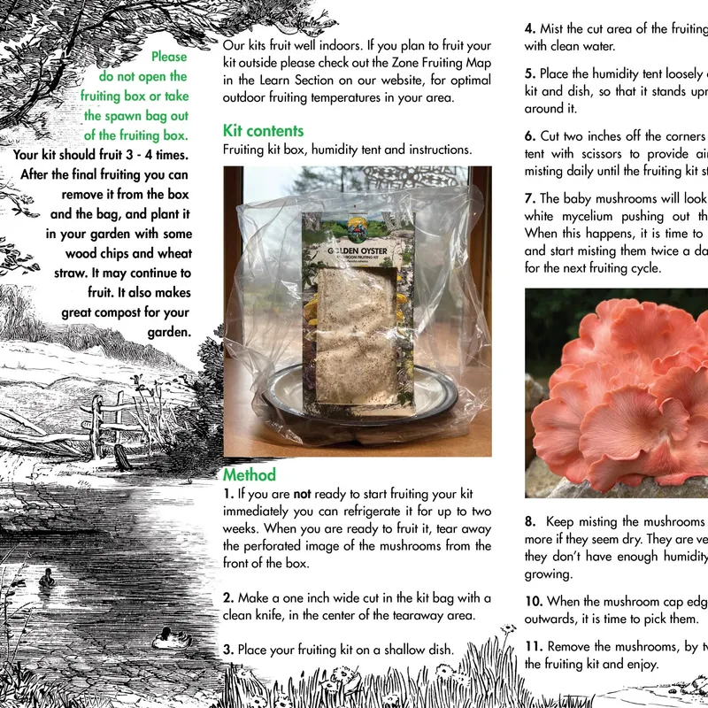 Oyster Mushroom Fruiting Kit - (Pleurotus spp.) - Image 4