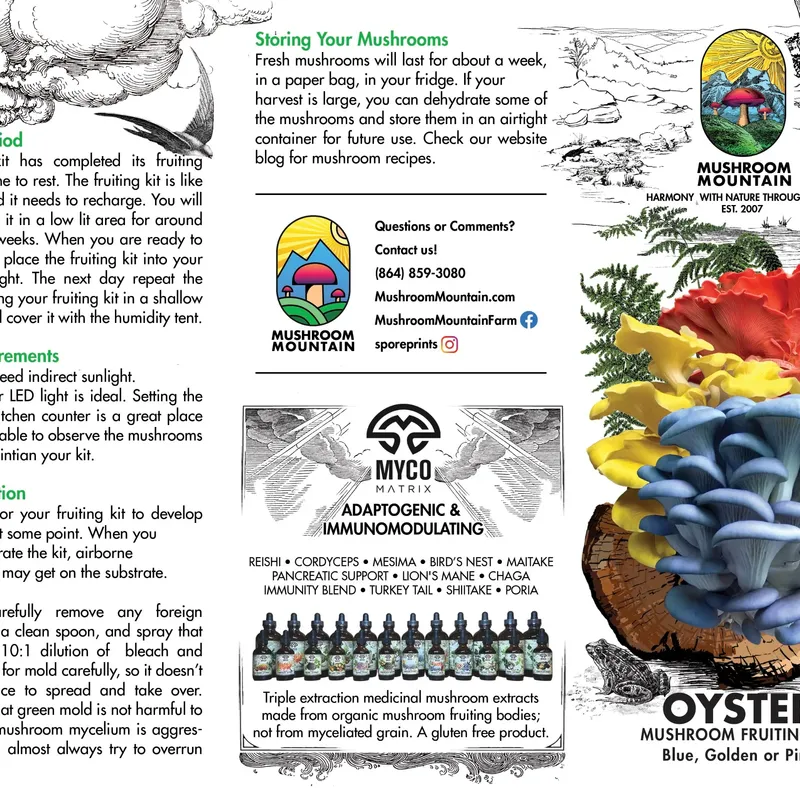 Oyster Mushroom Fruiting Kit - (Pleurotus spp.) - Image 5