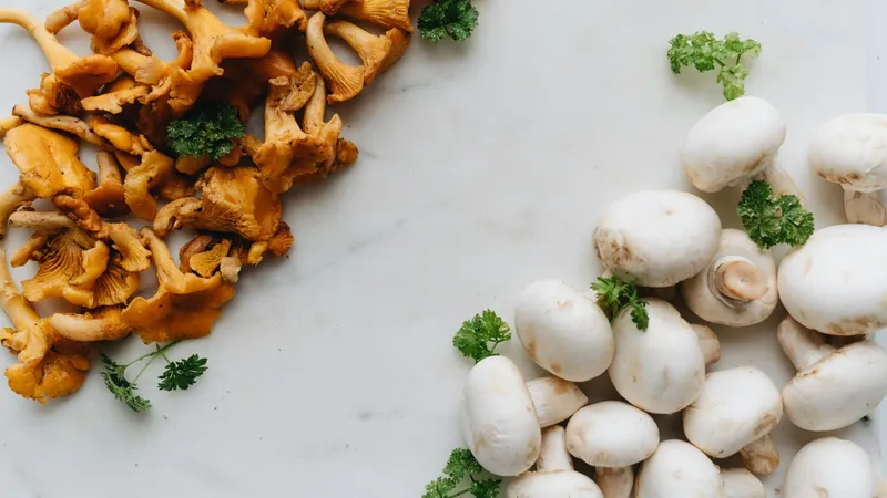 Fresh chanterelle and white mushrooms on marble with parsley, perfect for gourmet cooking.