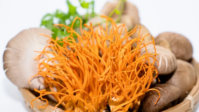 Close-up of various organic mushrooms and herbs in a basket, highlighting vibrant colors and textures