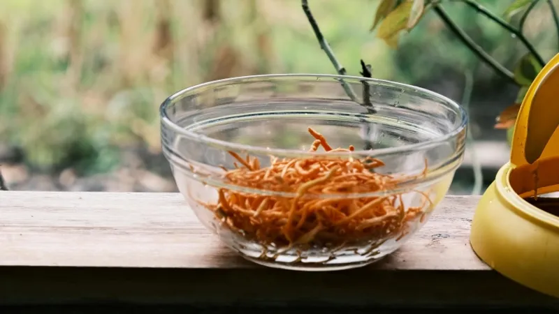 cordyceps militaris in a glass bowl