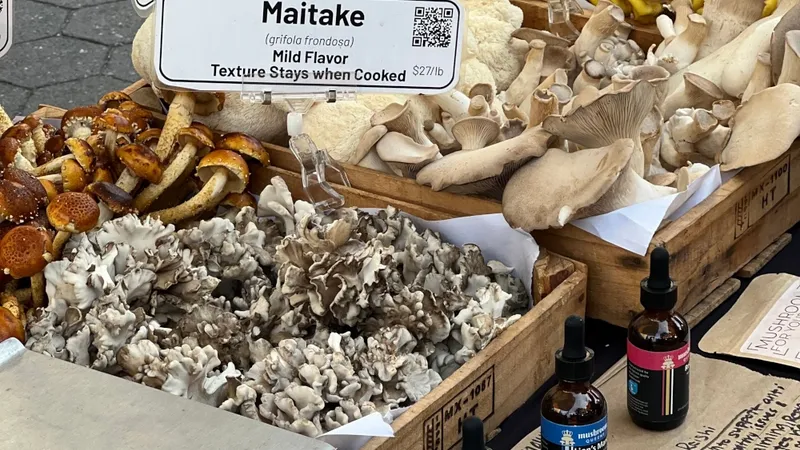 Assorted mushrooms like Maitake, Lion's Mane, and King Trumpet on display at a market stall.