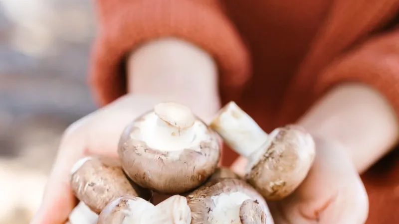 Close-up of a person holding fresh brown mushrooms in hands, showcasing natural produce