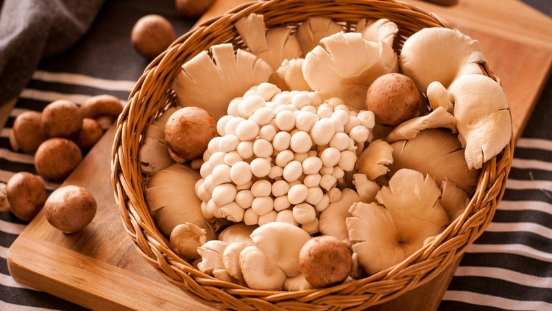 Functional Mushrooms (shiitake, etc) in basket