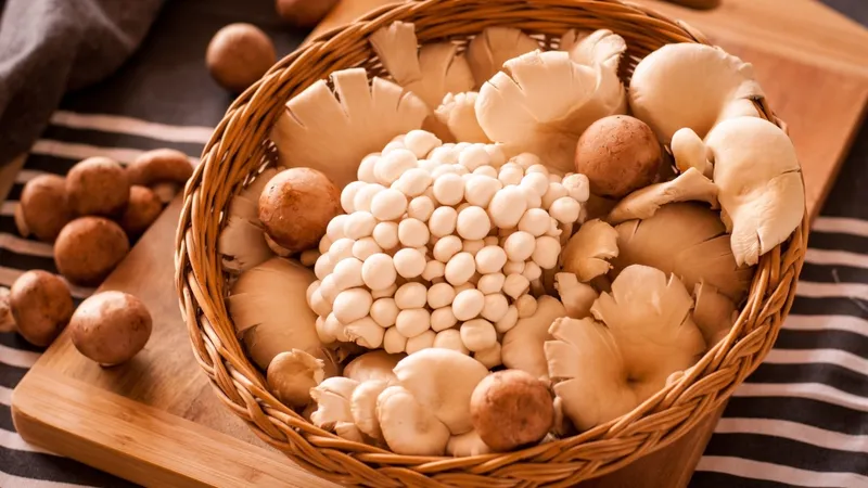A wicker basket filled with a variety of fresh mushrooms, perfect for culinary uses