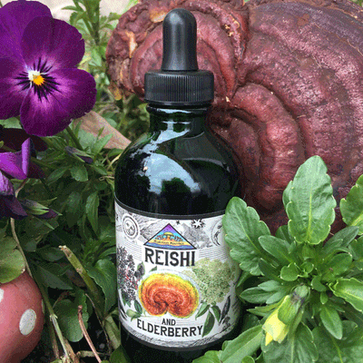 Reishi and Elderberry Tincture - Product Image