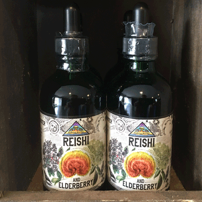 Reishi and Elderberry Tincture - Image 2