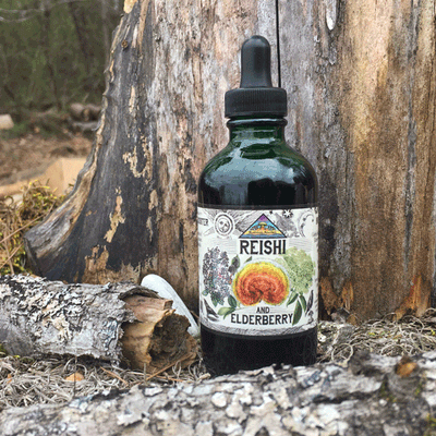 Reishi and Elderberry Tincture - Image 3