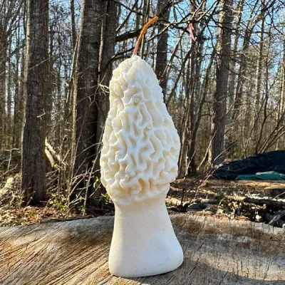 Soy Wax Candle - Product Image