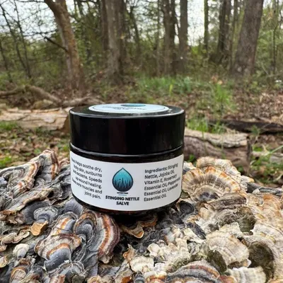 Stinging Nettle Salve - Product Image