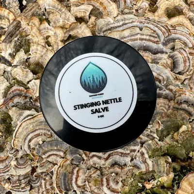 Stinging Nettle Salve - Image 2