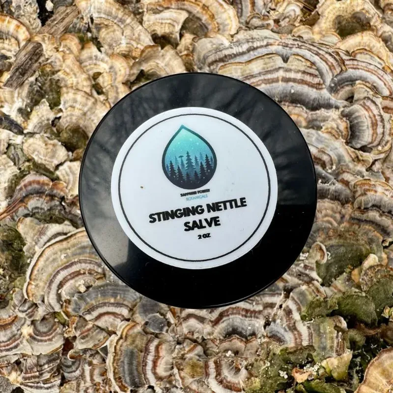 Stinging Nettle Salve - Image 2