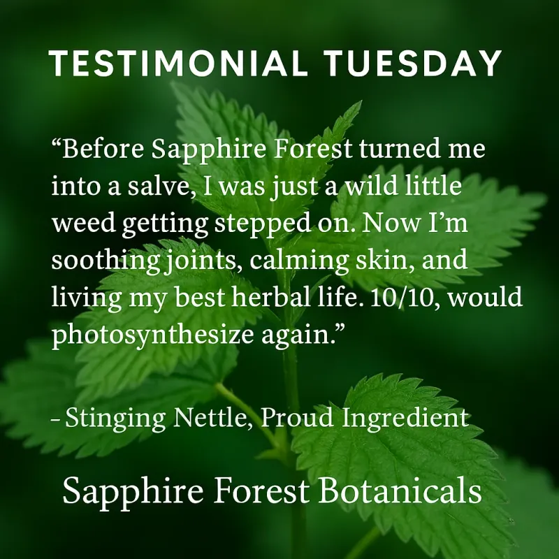 Stinging Nettle Salve - Image 3