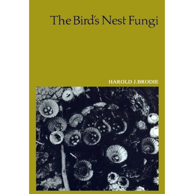 The Bird's Nest Fungi - Paperback - Product Image