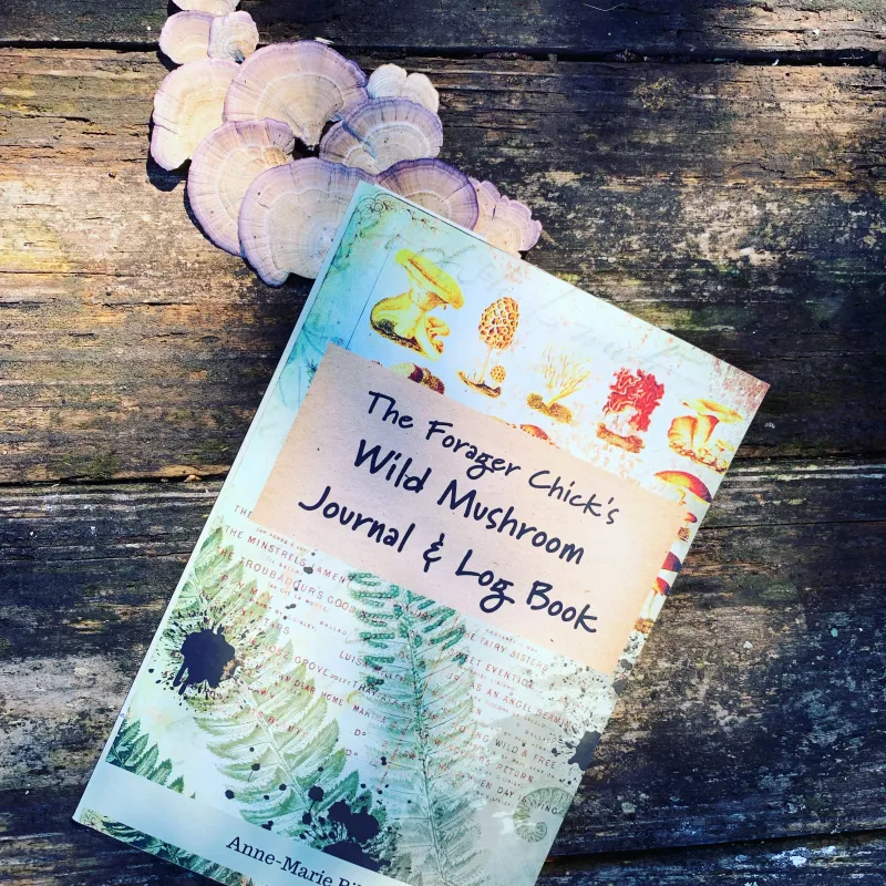 The Forager Chick's Wild Mushroom Journal & Log Book - Product Image
