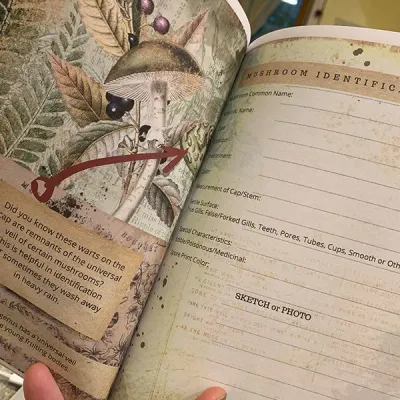 The Forager Chick's Wild Mushroom Journal & Log Book - Image 4