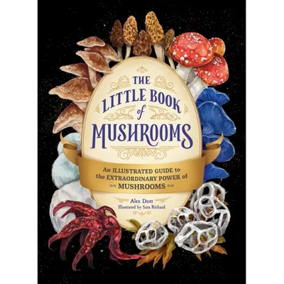 The Little Book of Mushrooms: An Illustrated Guide to the Extraordinary Power of Mushrooms - Hardcover - Product Image