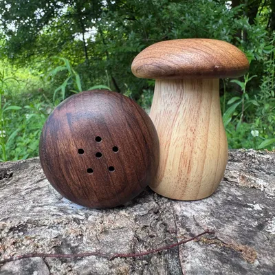 Wooden Mushroom Shaker or Toothpick Holder - Product Image