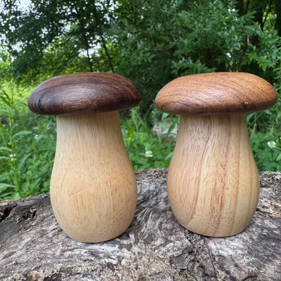 Wooden Mushroom Shaker or Toothpick Holder - Image 3